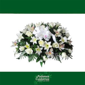 Base legado de paz 300x300 - Diseño Legado de Paz Especial
