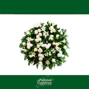 corona paz 300x300 - Corona Paz