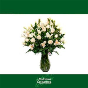 jarron legado de paz especial 300x300 - Jarrón Legado de Paz Especial
