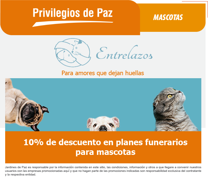 Recurso 2 - Mascotas