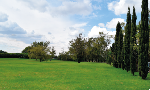 Recurso 19 - Brochure Lote a Perpetuidad