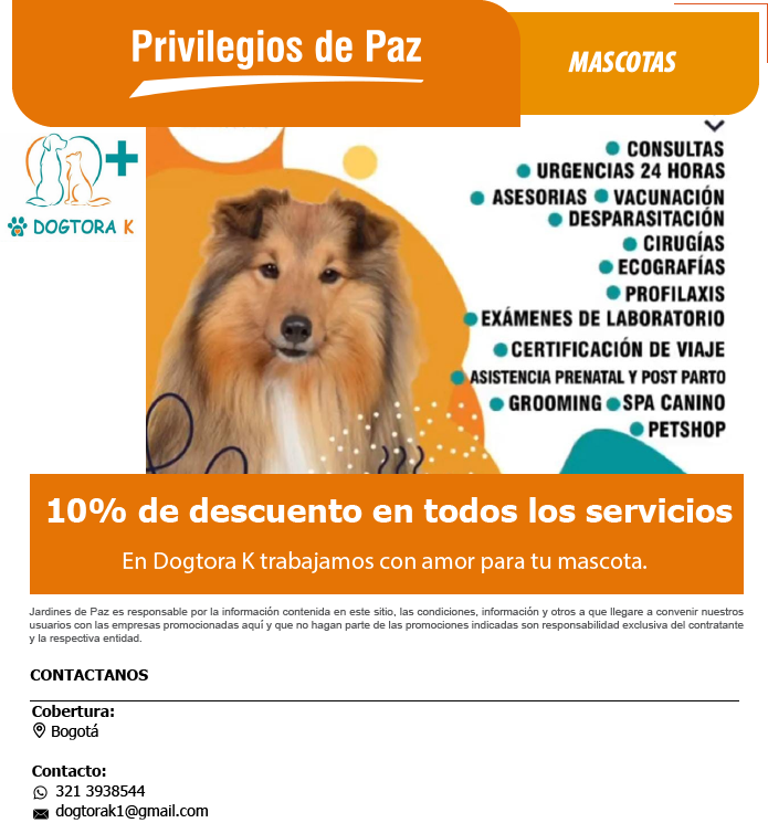 Recurso 14Dogtora K4 - Mascotas