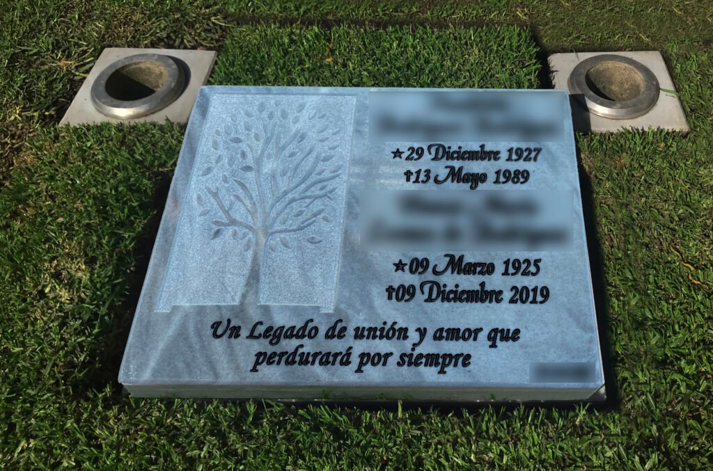 Lap 006 50x40 2 1024x677 - placa-doble-PYC